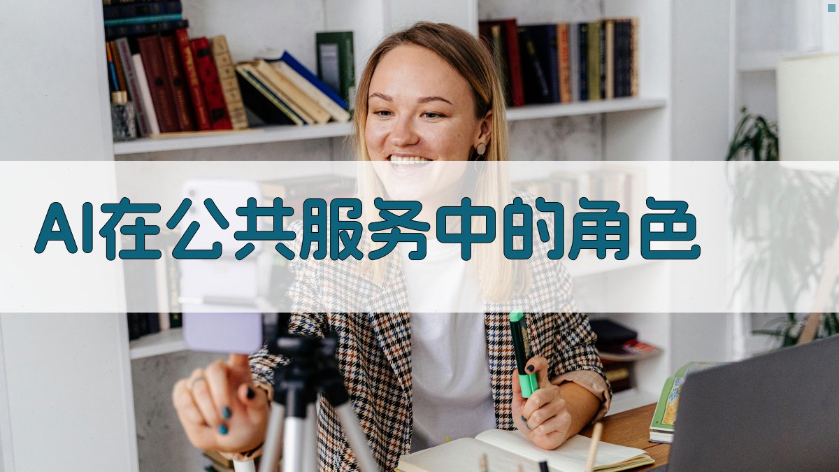 AI在公共服务中的角色 图3