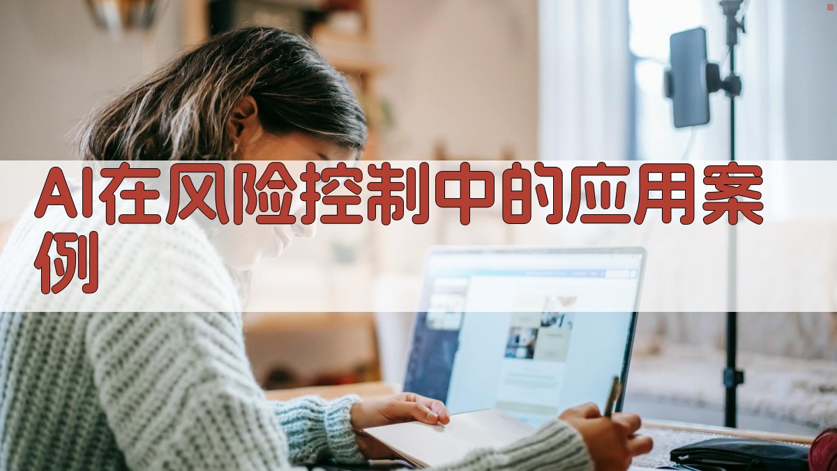 AI在风险控制中的应用案例 图4