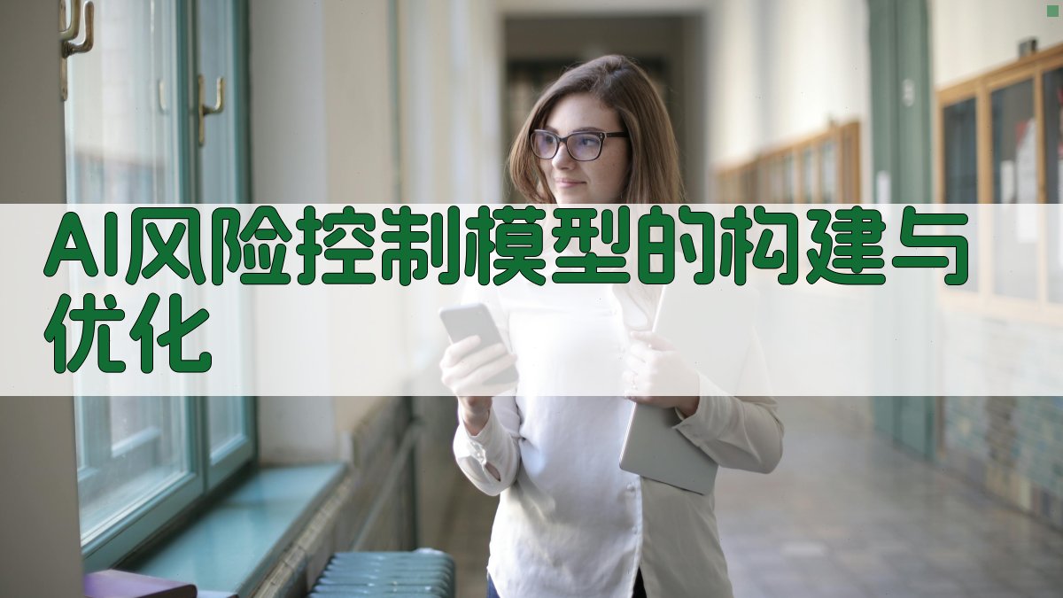 AI风险控制模型的构建与优化 图4