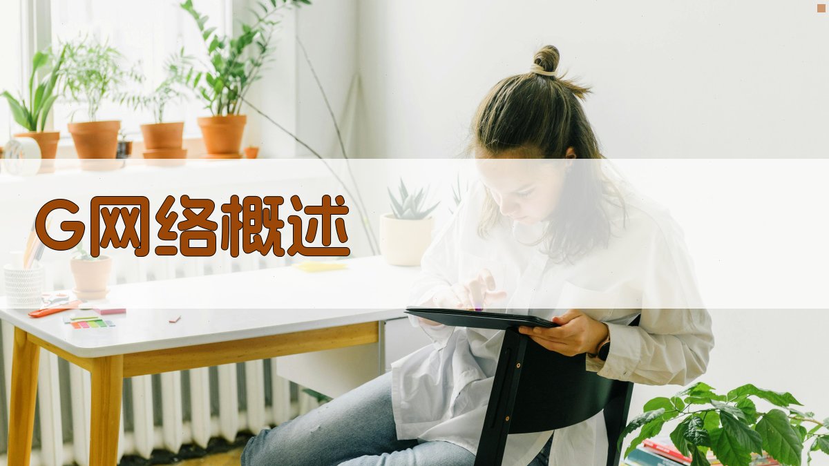 G网络概述 图1