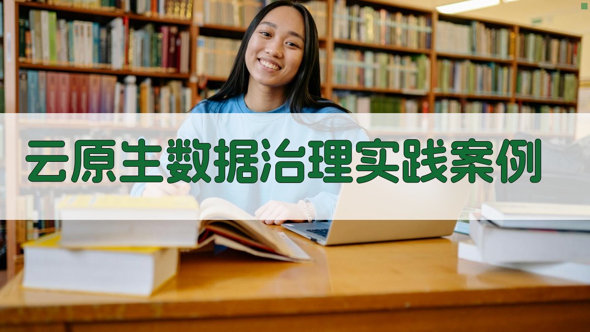 云原生数据治理实践案例 图3