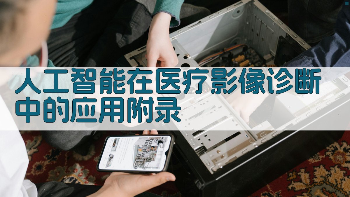 人工智能在医疗影像诊断中的应用 · 附录 图3