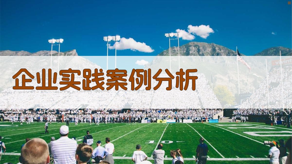 企业实践案例分析 图3