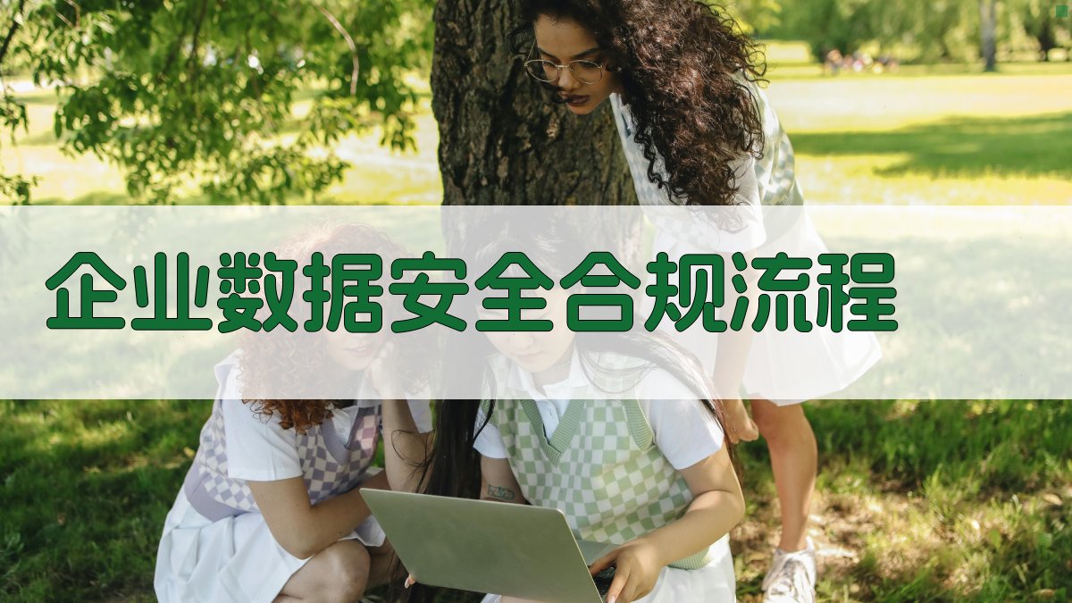 企业数据安全合规流程 图2