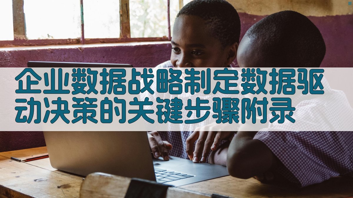 企业数据战略制定数据驱动决策的关键步骤 · 附录 图5