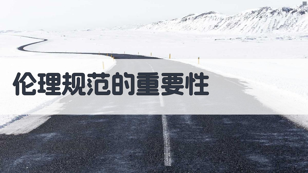 伦理规范的重要性 图3