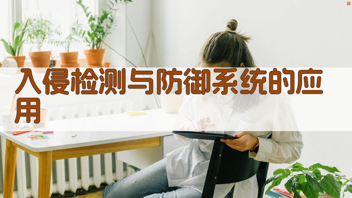 入侵检测与防御系统的应用 图2