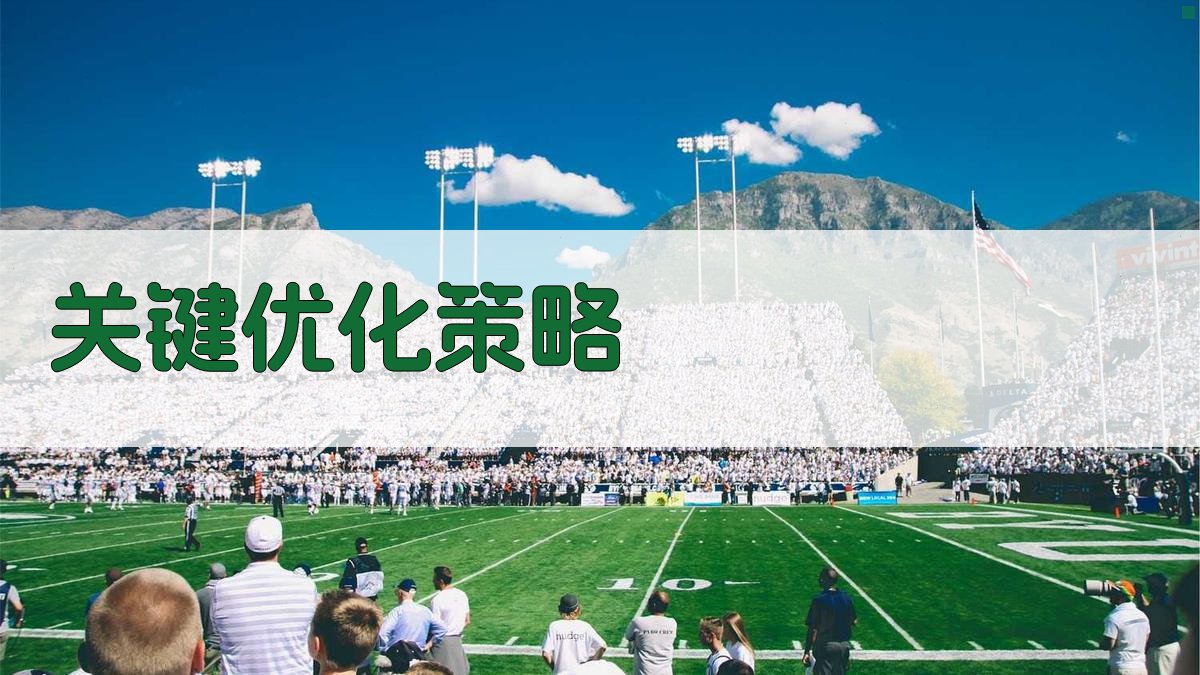 关键优化策略 图2