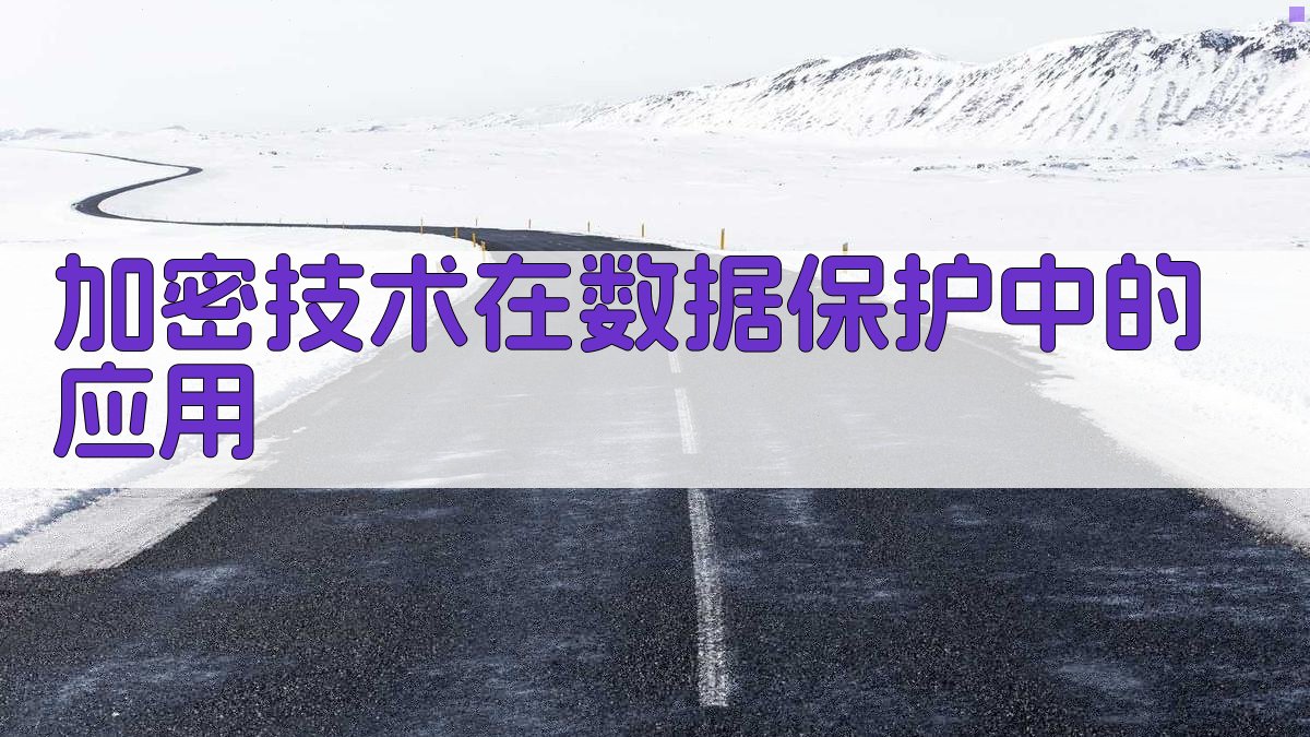 加密技术在数据保护中的应用 图1