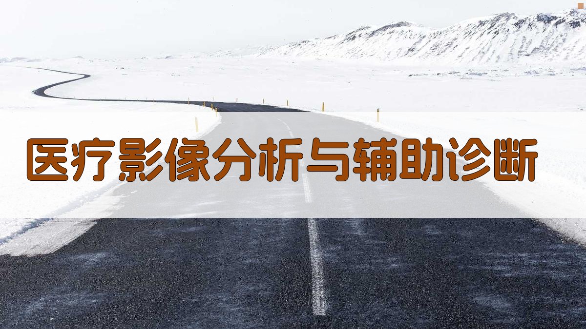 医疗影像分析与辅助诊断 图4