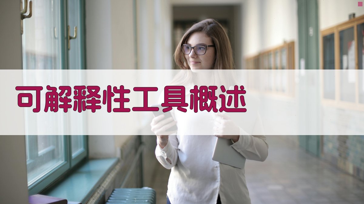 可解释性工具概述 图1