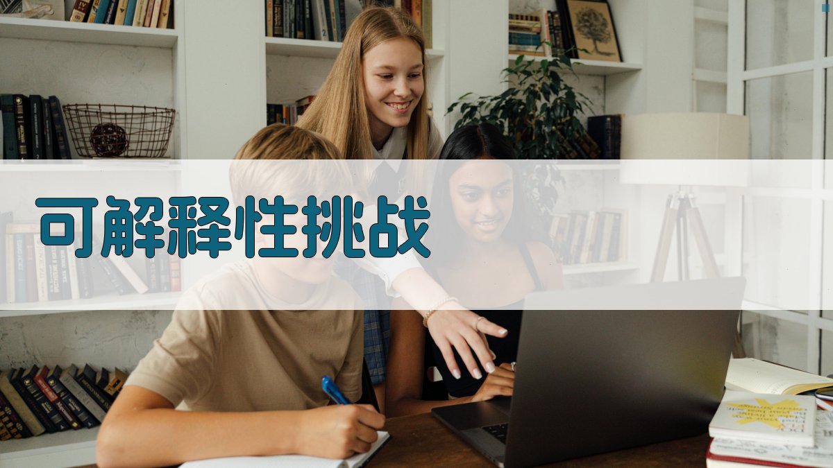 可解释性挑战 图2