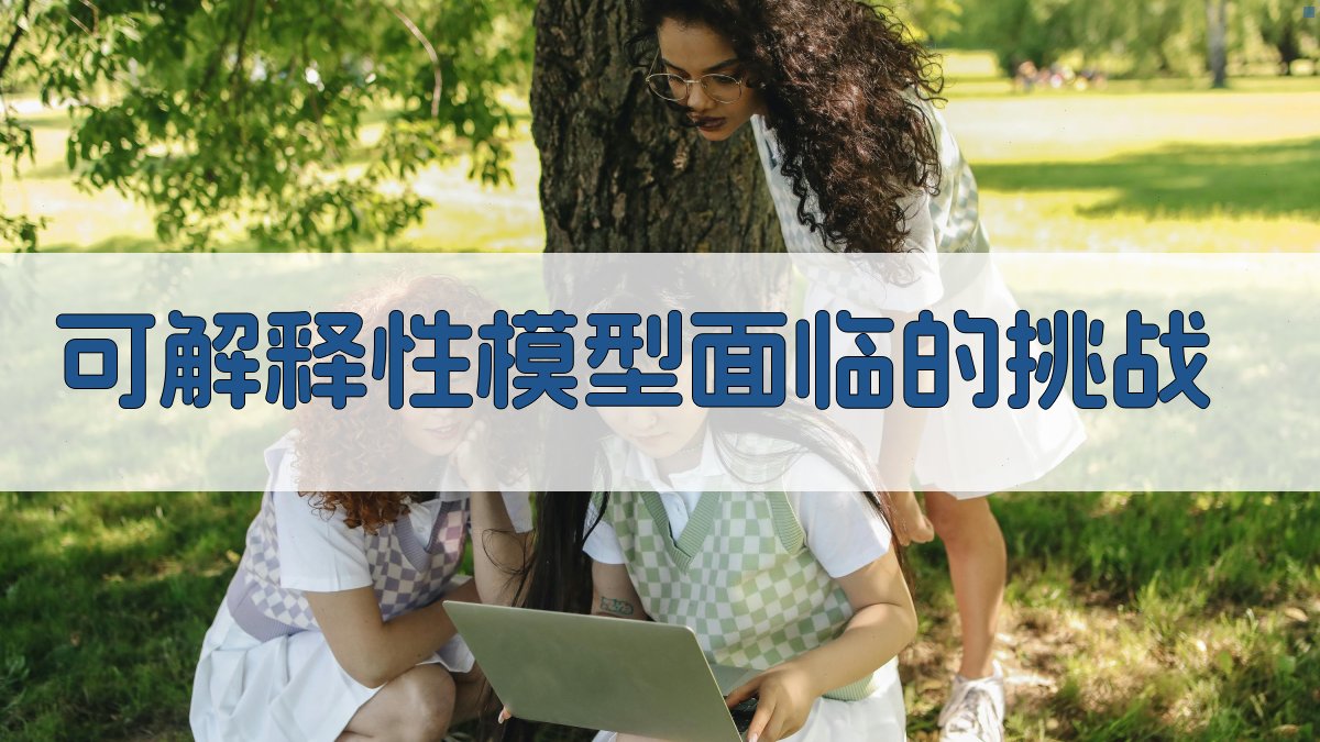 可解释性模型面临的挑战 图3