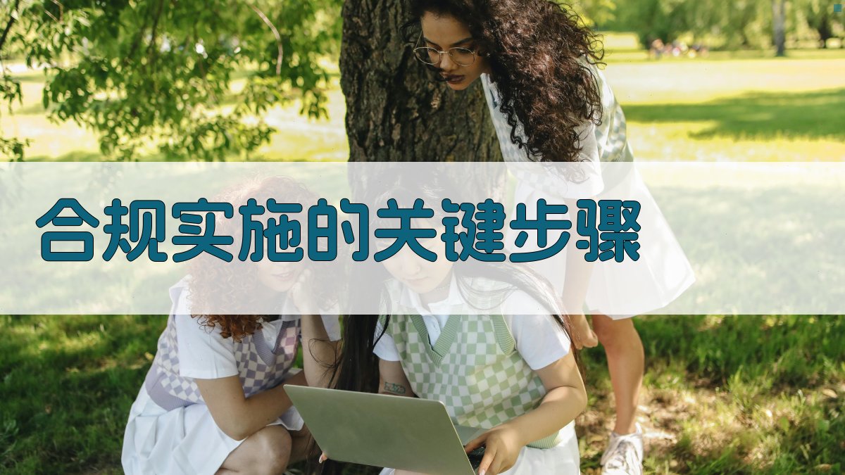 合规实施的关键步骤 图2