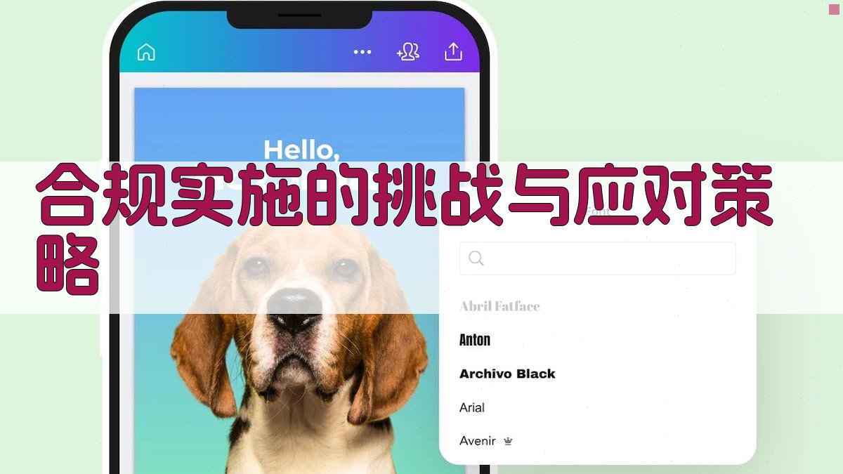 合规实施的挑战与应对策略 图5