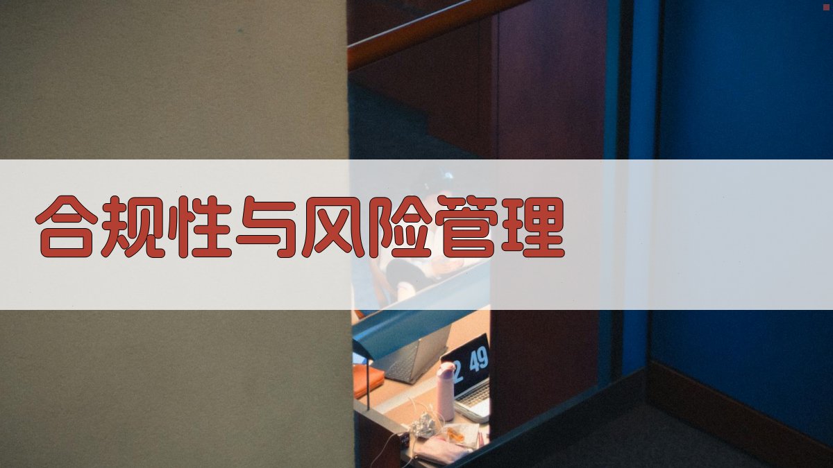 合规性与风险管理 图3