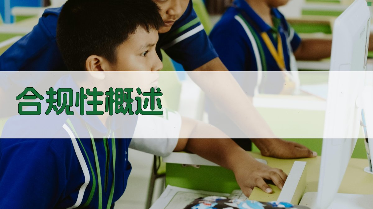 数据安全法规合规与安全的平衡