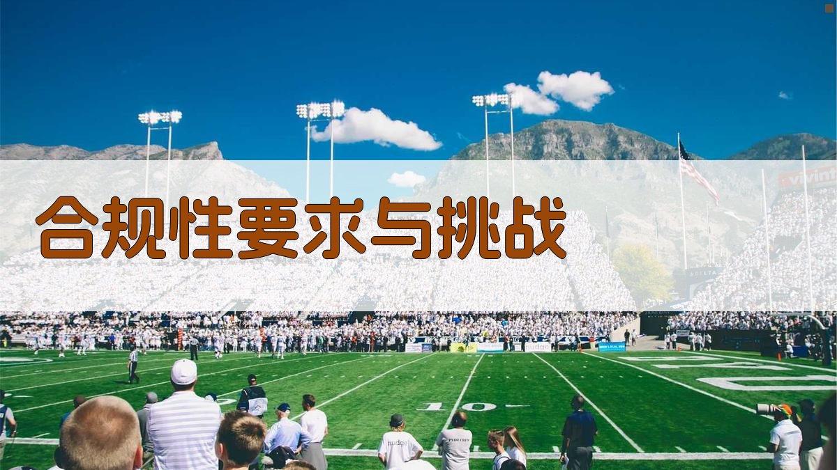 合规性要求与挑战 图3