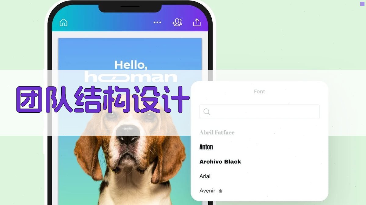构建高效数据治理团队的关键要素
