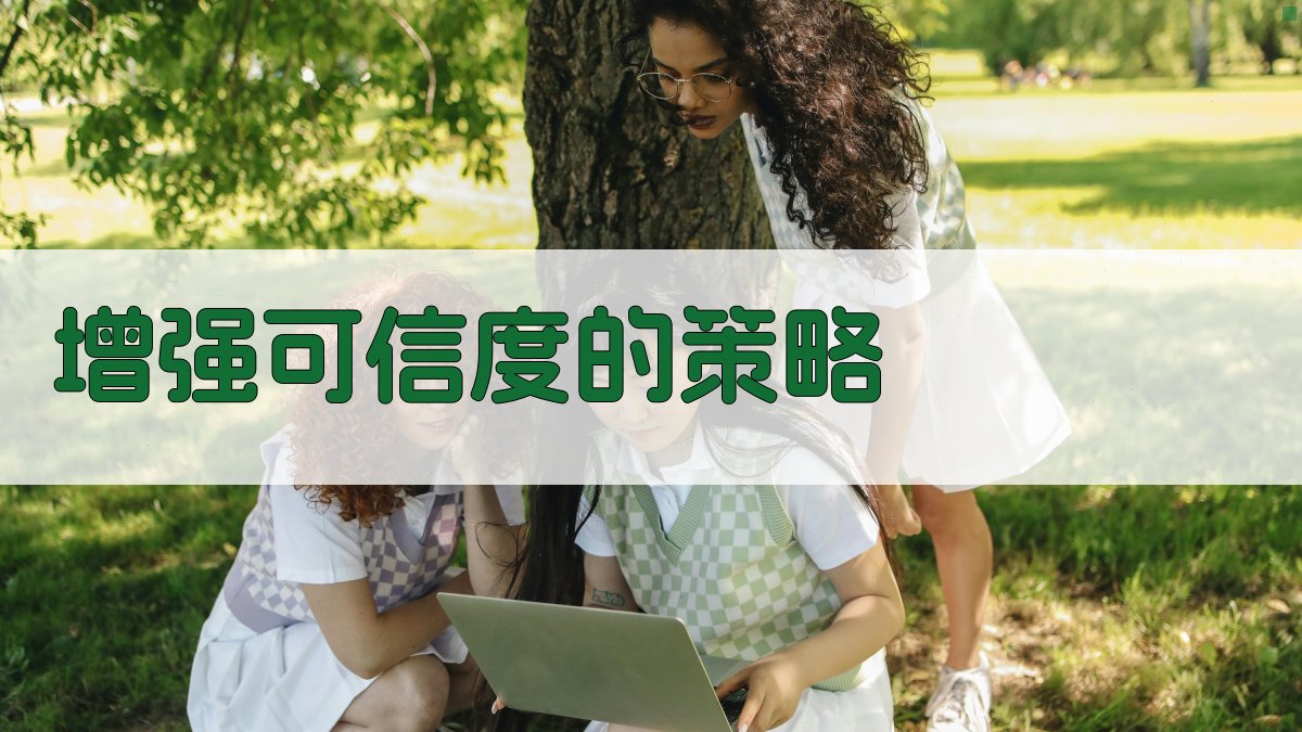 增强可信度的策略 图4