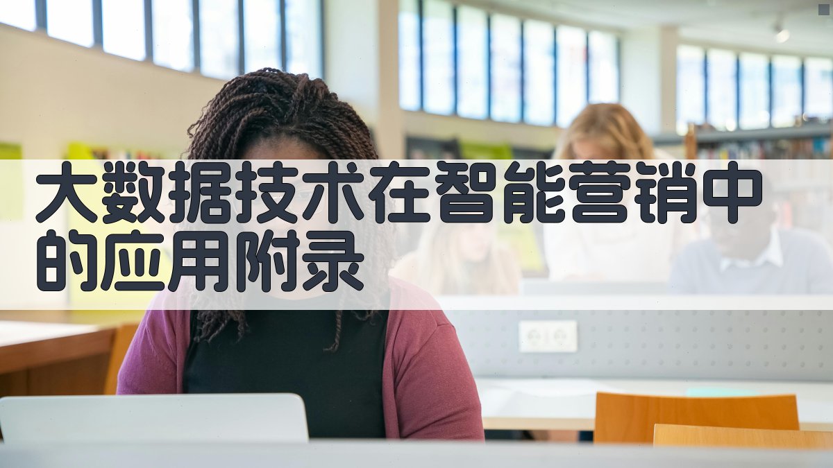 大数据技术在智能营销中的应用 · 附录 图3