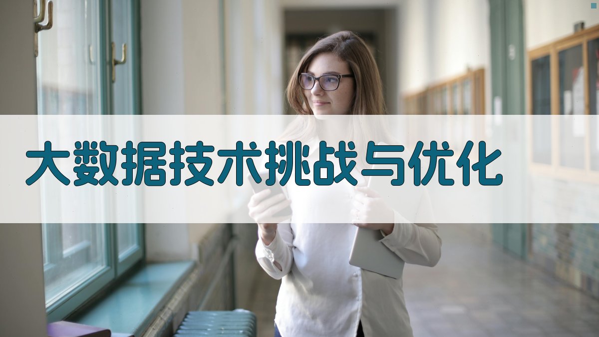 大数据技术挑战与优化 图4