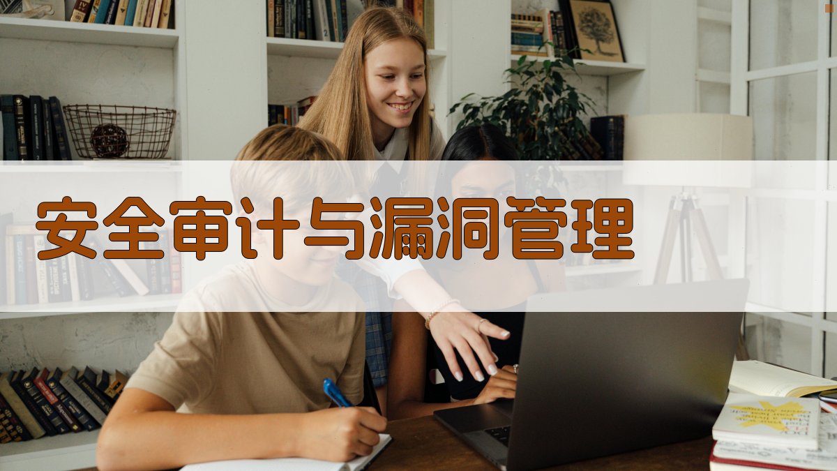 安全审计与漏洞管理 图3