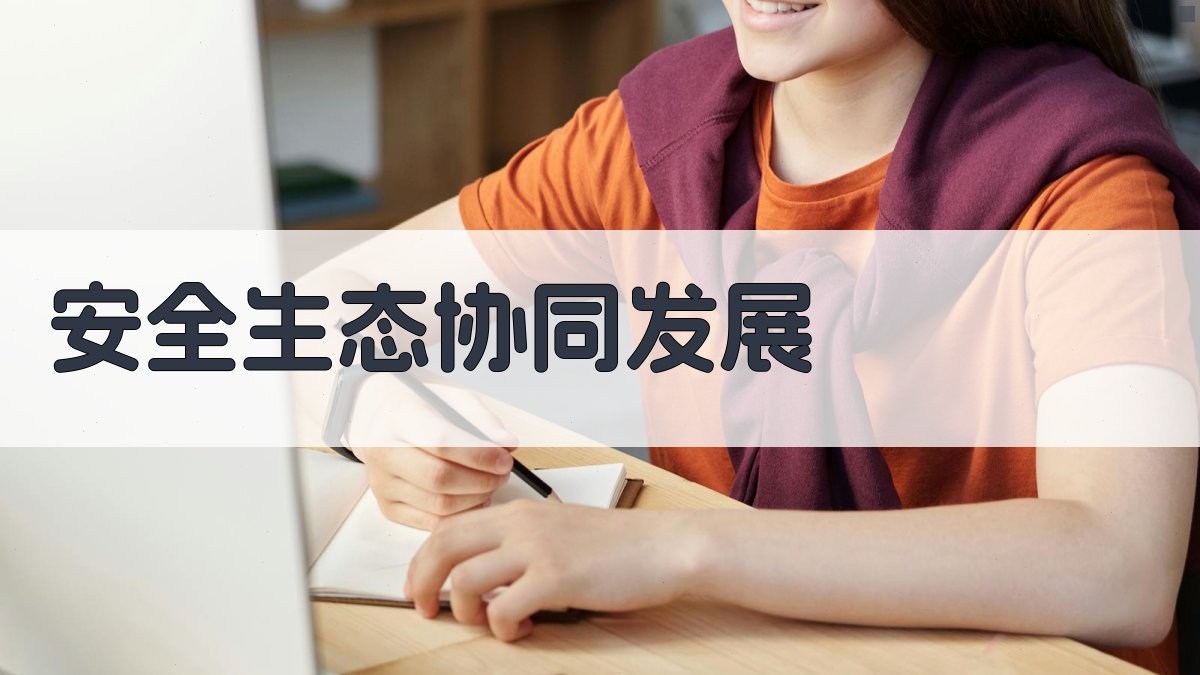 安全生态协同发展 图2