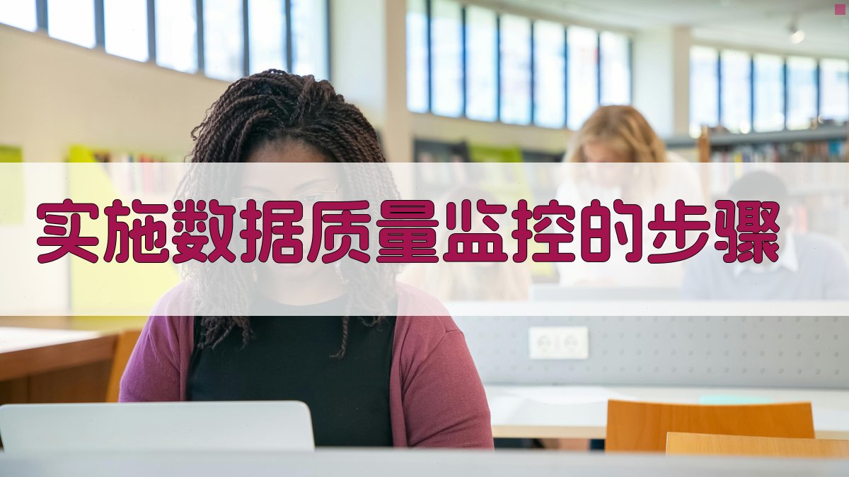 实施数据质量监控的步骤 图2