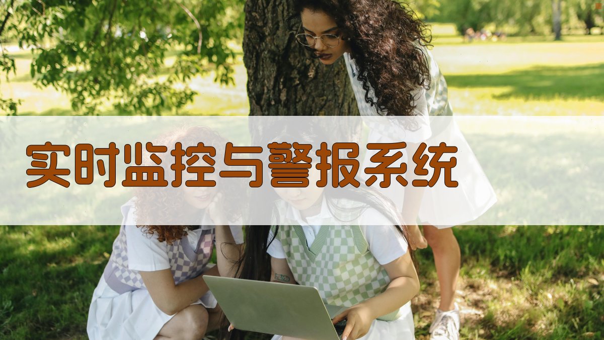 实时监控与警报系统 图1
