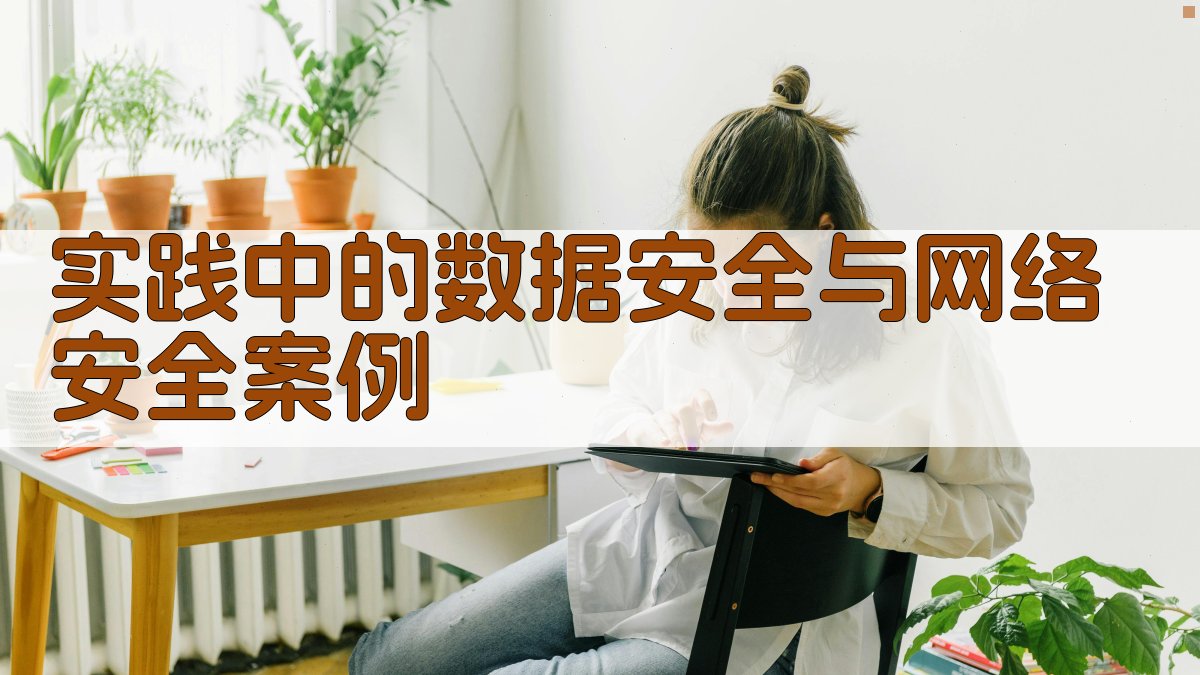 实践中的数据安全与网络安全案例 图3