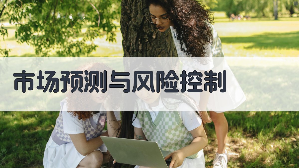 市场预测与风险控制 图3