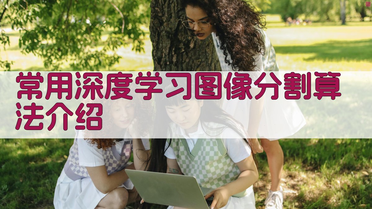 深度学习图像分割应用探索