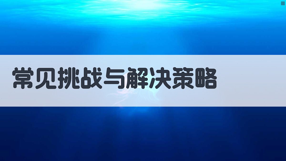 常见挑战与解决策略 图4