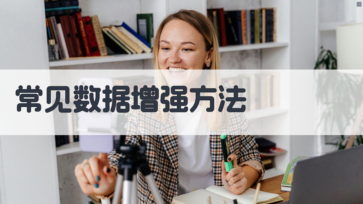 常见数据增强方法 图2