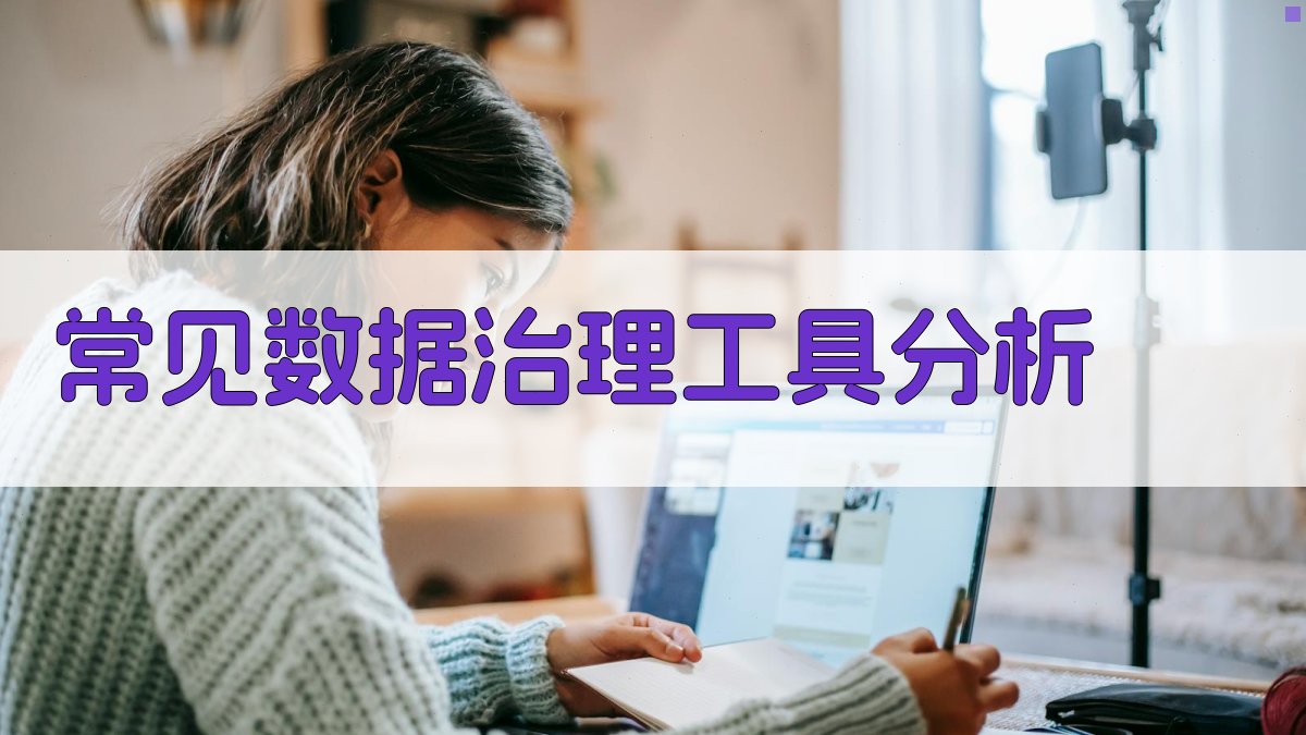 常见数据治理工具分析 图2