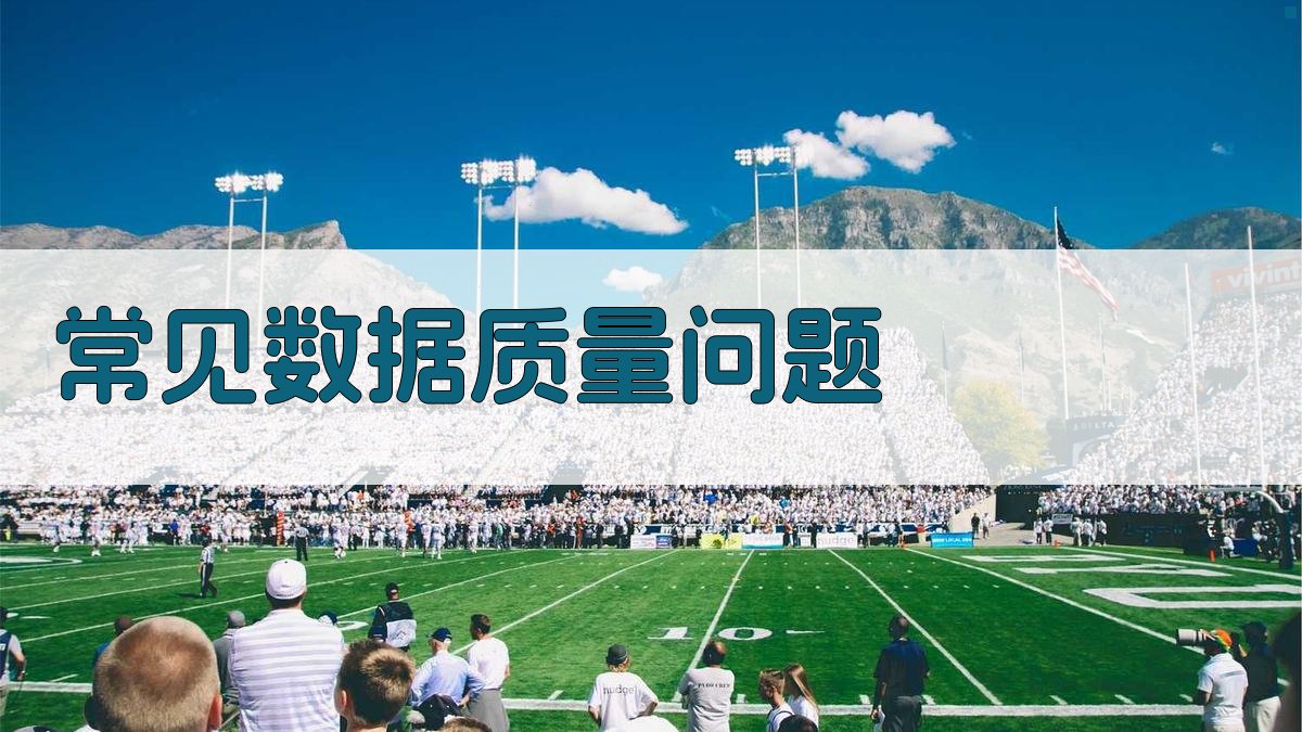 常见数据质量问题 图1