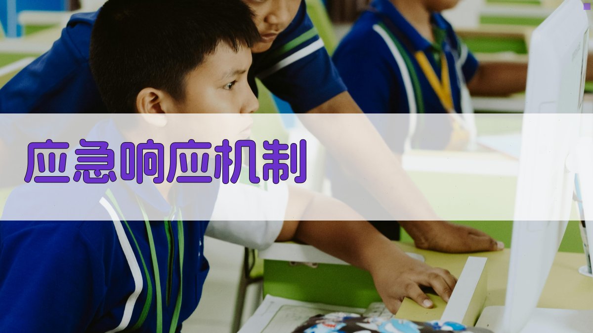 应急响应机制 图3