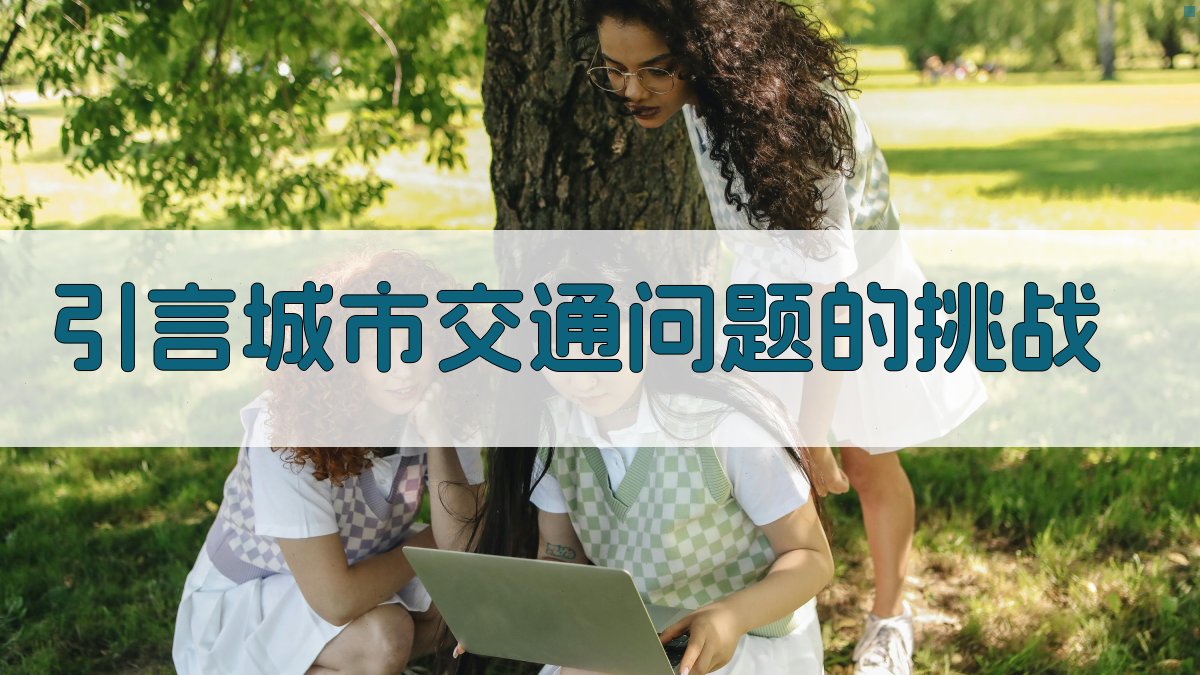 引言城市交通问题的挑战 图1