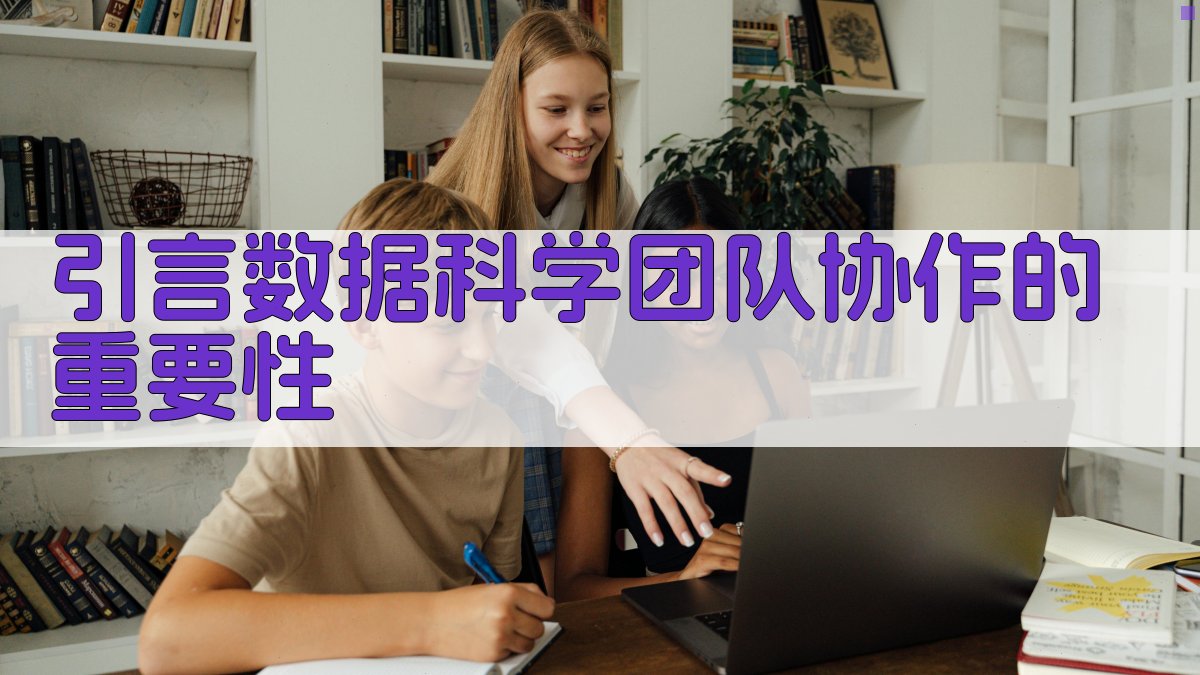 数据科学团队协作高效工作流程的构建