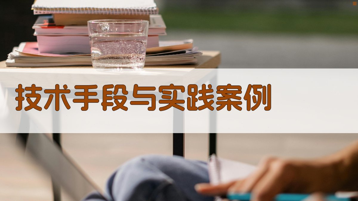 技术手段与实践案例 图4