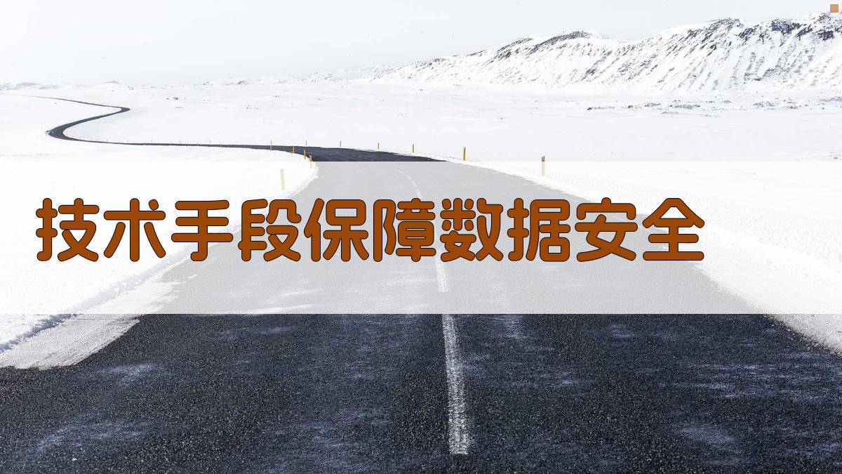 技术手段保障数据安全 图2