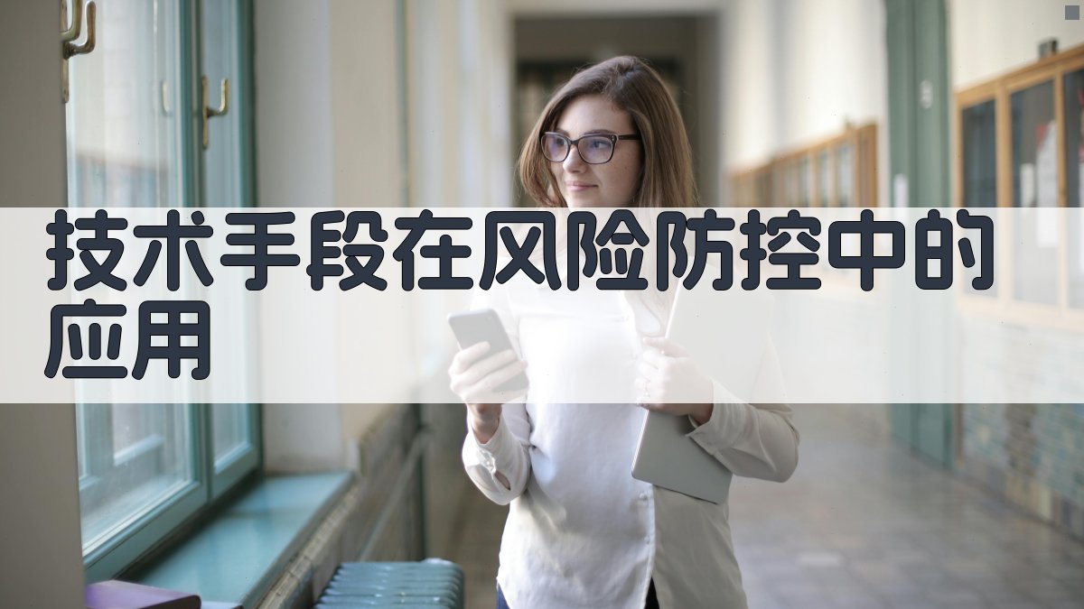 技术手段在风险防控中的应用 图2