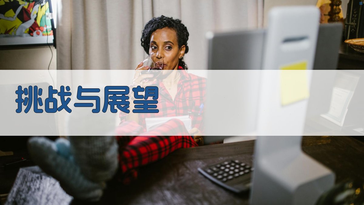 挑战与展望 图4