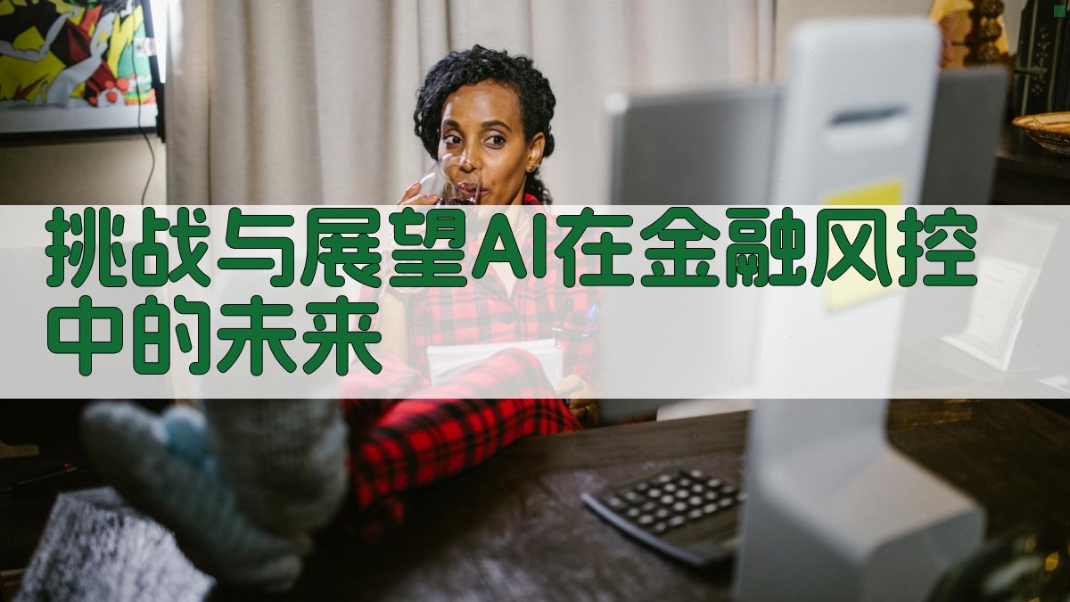 挑战与展望AI在金融风控中的未来 图5