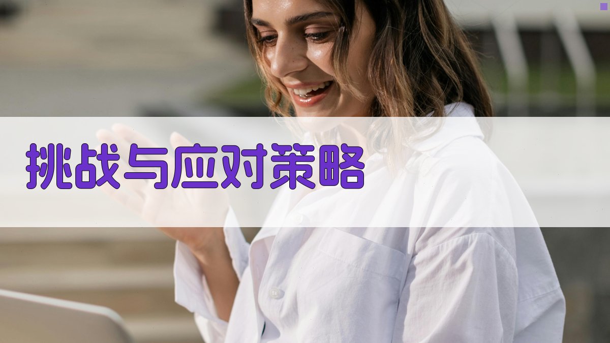 挑战与应对策略 图4