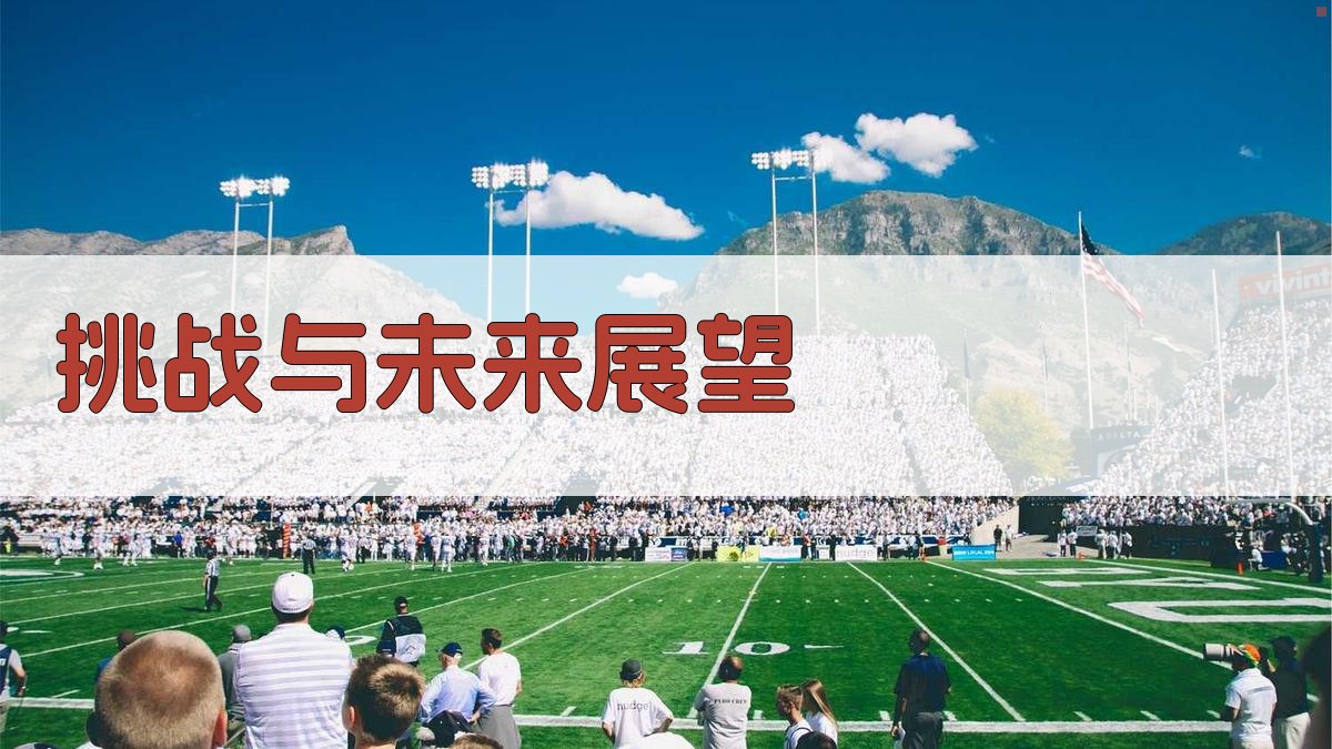 挑战与未来展望 图2