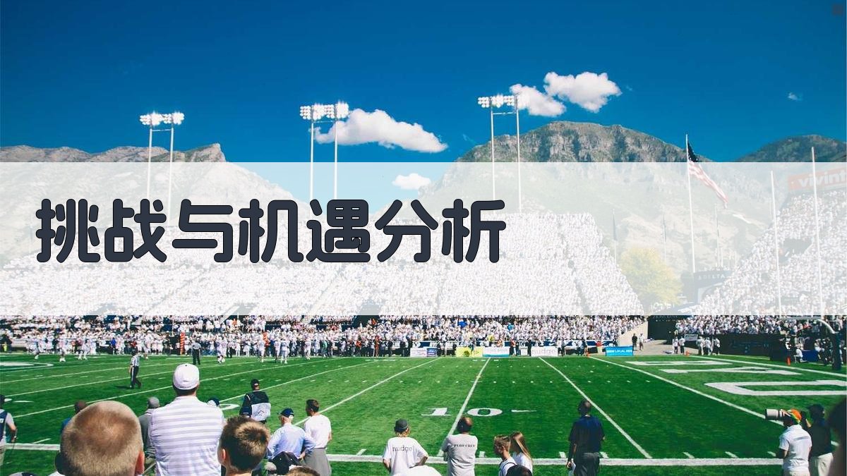 挑战与机遇分析 图3