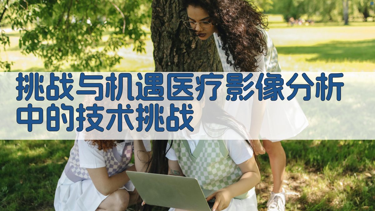 挑战与机遇医疗影像分析中的技术挑战 图4