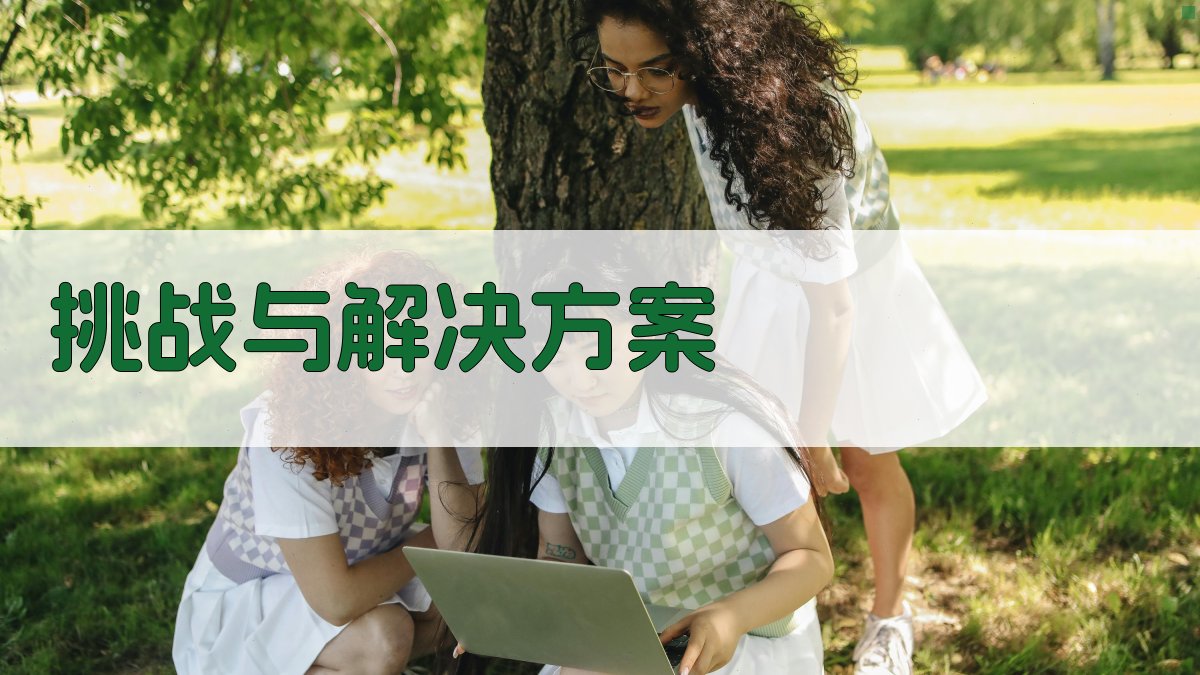 挑战与解决方案 图2